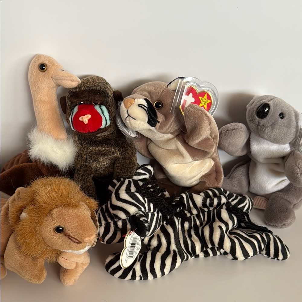 6 Beanie Babies animal lot